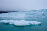ice chunks in Greenland 