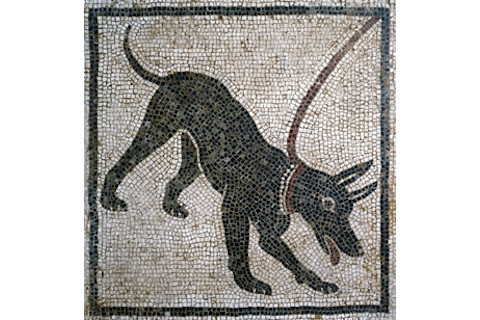 2,000-year-old Dog Mosiac - De Agostini Picture Library