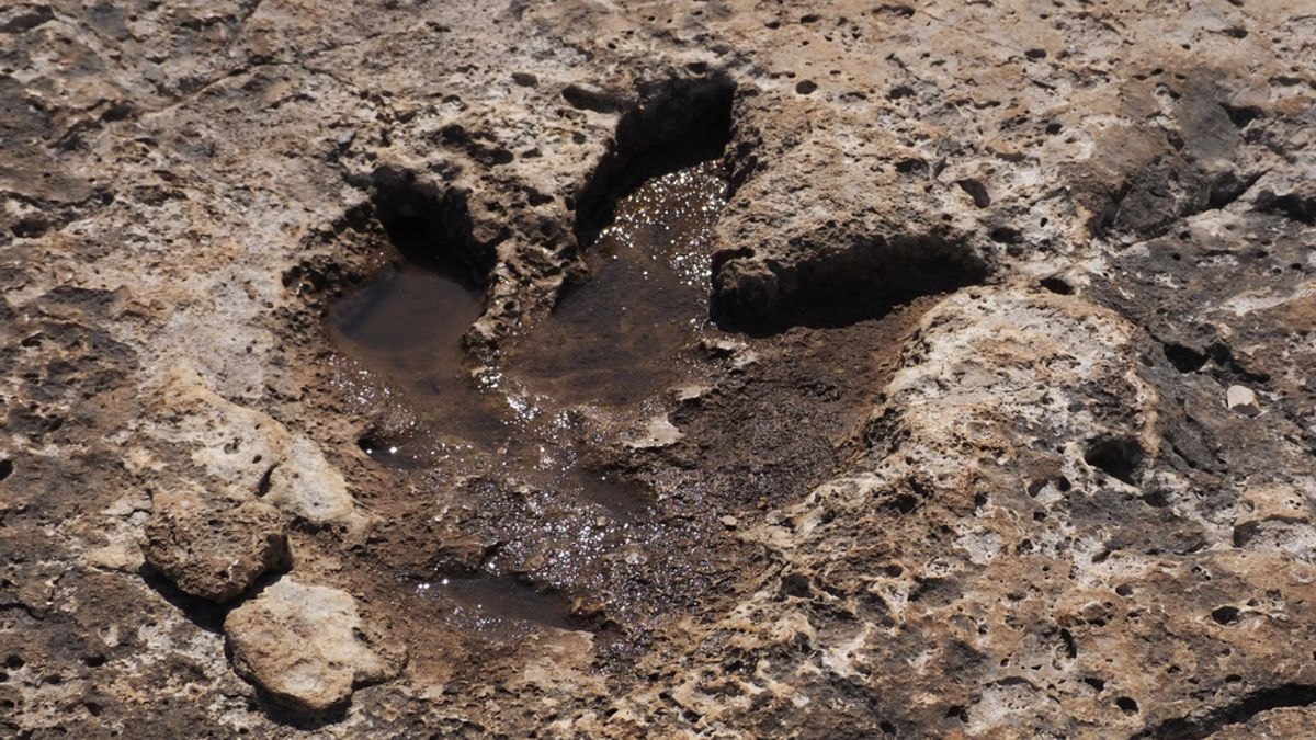 Photo: Discover Magazine First Adult T. Rex Trackway Discovered in North Dakota