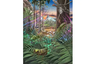Illustration of Jurassic Period soundscape