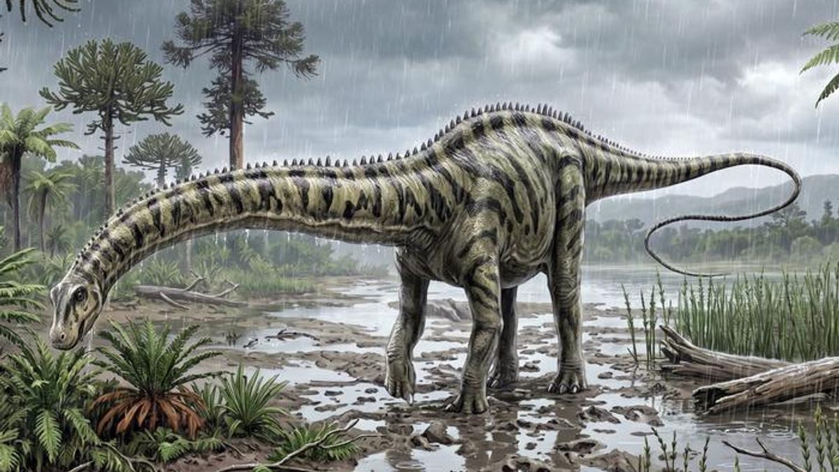 150-Million-Year-Old Tail Bones Found in Spain Reveal the First <em>Diplodocus</em> Outside North America