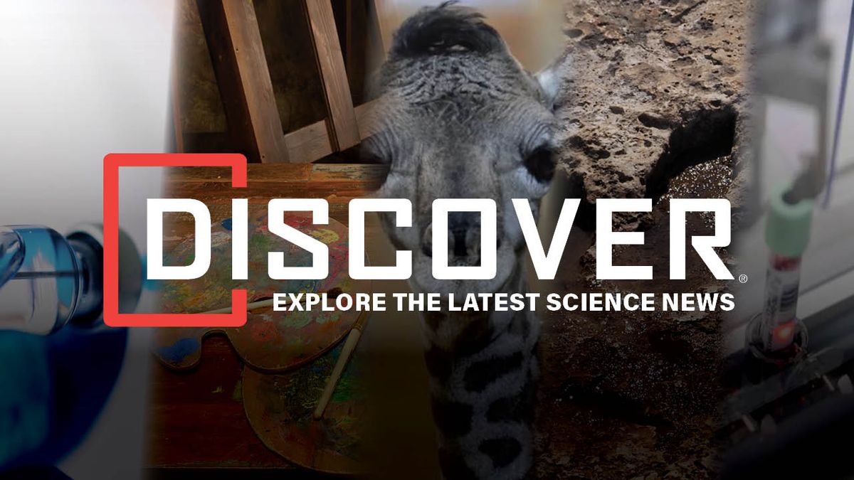 Immaculate Mastodon Tooth Fossil, New Blood Test to Detect Pancreatic Cancer, and Gail the Newborn Masai Giraffe