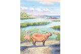 Ancient Capybara Tooth Reveals Past Climate Changes