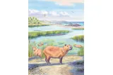 Illustration of extinct genus of capybara relatives 