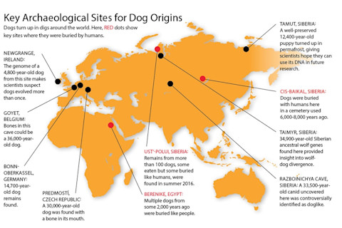 Dog Origin Map