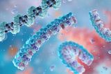 RSV Vaccines Deliver 80% Shield Against Hospitalization in 14.8 Million Seniors, FDA Study Confirms — image 2