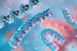MRNA strands