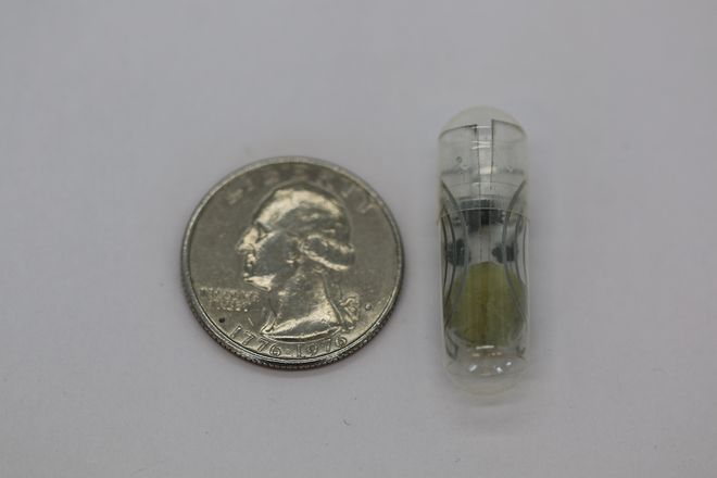 Digestible battery, compared to a quarter Digestible battery, compared to a quarter