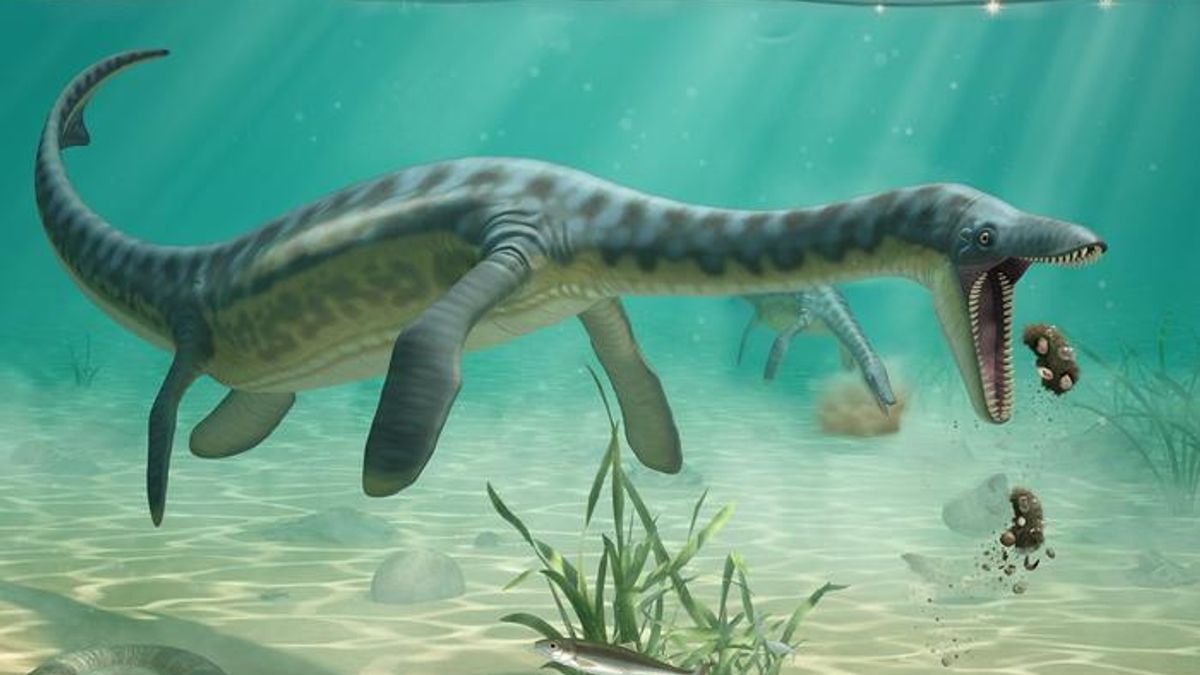 Ancient Vomit Found Beneath the North Sea Hints at Where Plesiosaurs May Have Napped After Dinner