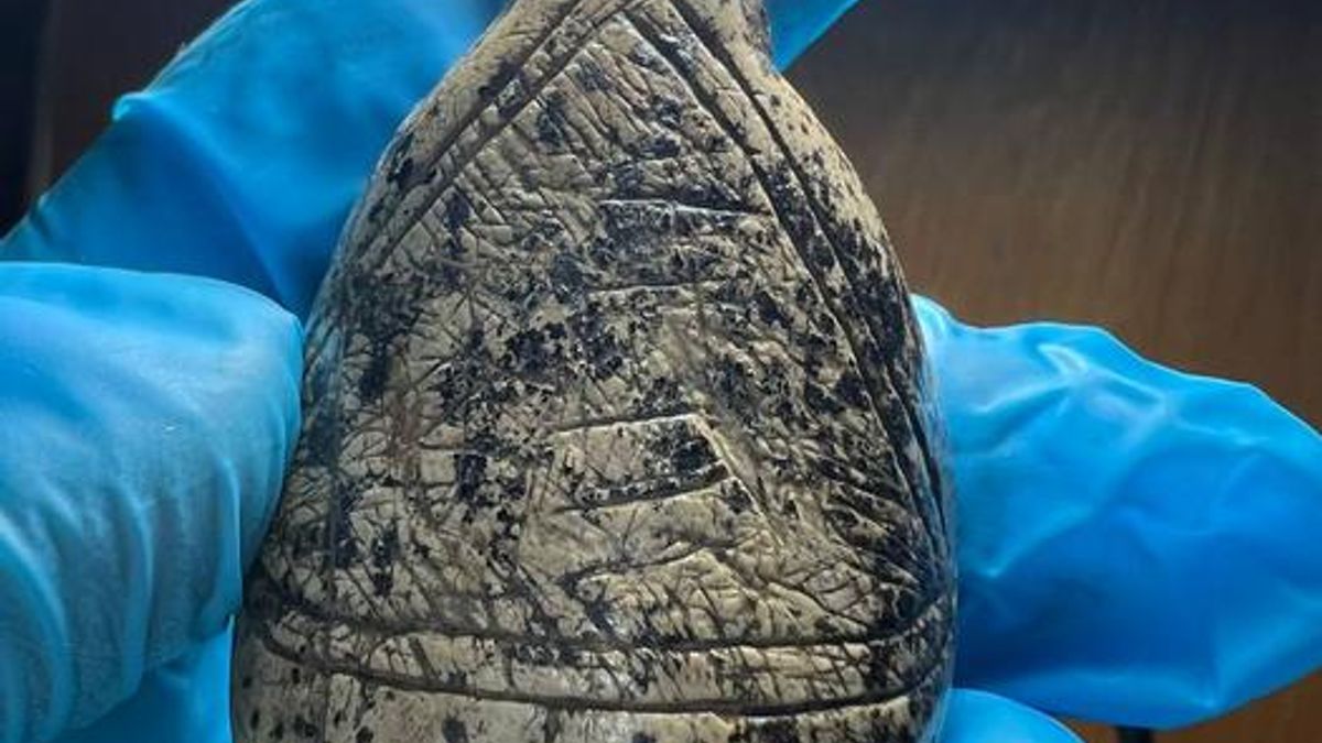 18,000-Year-Old Mammoth Ivory Figurines Reveal a Unique Ice Age Art Tradition
