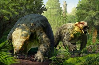 Dinodontosaurus isiyavamanda in the jungle 