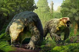 Dinodontosaurus isiyavamanda in the jungle 