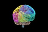 Largest Map of Gene Activity to Date May Hold Clues to Alzheimer&rsquo;s and Other Brain Diseases