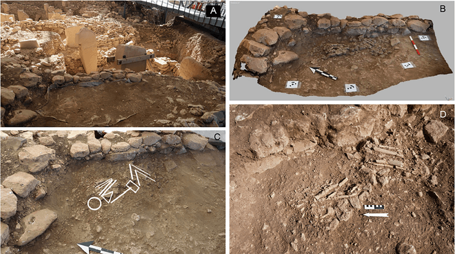 remains found at the excavation site 