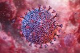 5 Infections, Including Epstein-Barr Virus, Were Linked to 2.3 Million New Cancer Cases in 2024