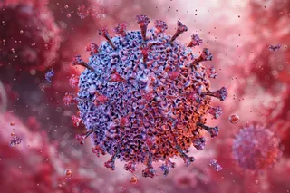 Illustration of the Epstein Barr virus