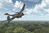 Newly Identified Norellraptor Could Reshape What We Know About Feathered Dinosaur Flight Evolution&nbsp;