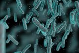 Exploring the Cocoliztli Epidemics in Mexico