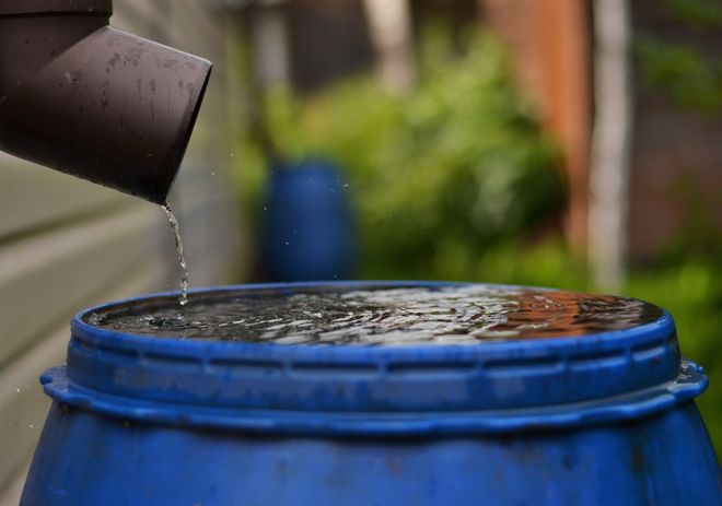 rain falling into rain barrel rain falling into rain barrel