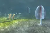 ancient life on the seafloor 
