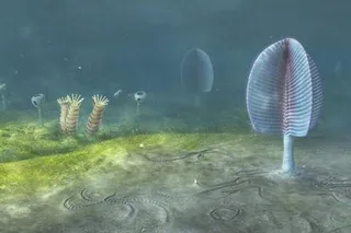 ancient life on the seafloor 