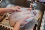 Blue Light Could Make Chicken Safer