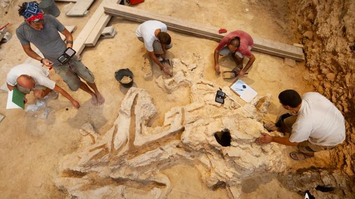 A Broken Neanderthal Spear Survives as a 40,000-Year-Old Imprint 