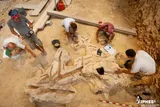 Archaeologists excavate rock deposits containing Neanderthal wood imprints at Abric Romaní in Spain.