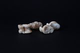 A Roman-Era Oracle Stone Turned Goat Knucklebone Throws Into Divine Advice