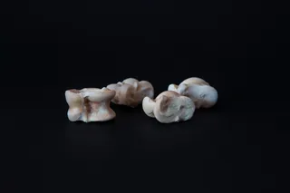 several white knucklebone dice
