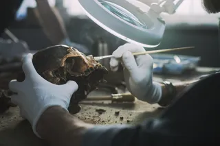 researcher looking at a human skull
