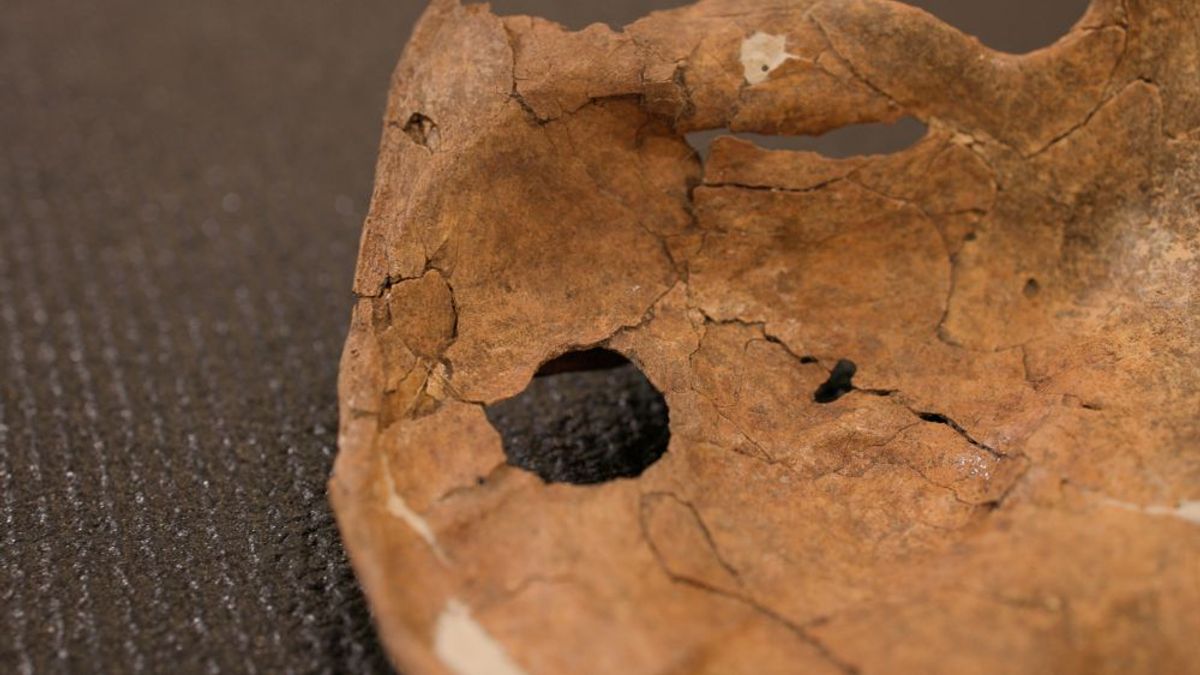 A 75,000-Year-Old Neanderthal May Be the Earliest Known Victim of a Wooden Spear Attack
