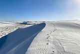 America's Earliest Known Humans Saw Dramatic Climate Changes Unfold Within a Few Generations&nbsp;