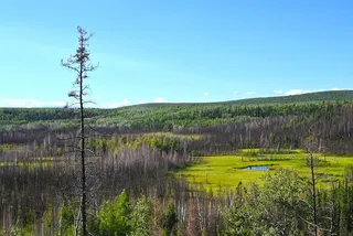Shég’ Xdaltth’i’ site with Alaskan range in the background