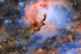 A Test Camera Captured an Exceptionally Sharp View of the Seagull Nebula 3,700 Light-Years Away