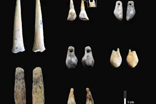 Denisova bones and teeth - Katerina Douka