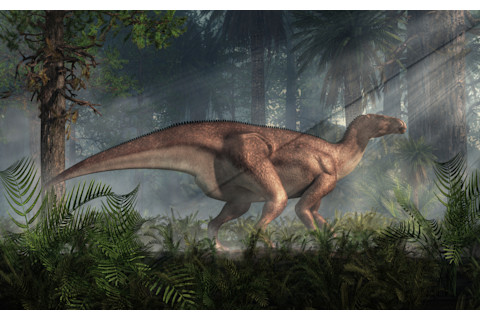 Illustration of iguanodon in dense prehistoric forest