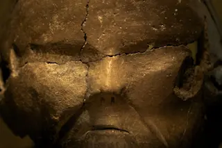 facepot