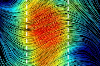 Magnetic Fields - Nature CCBY