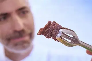 Aleph farms shows lab grown meat