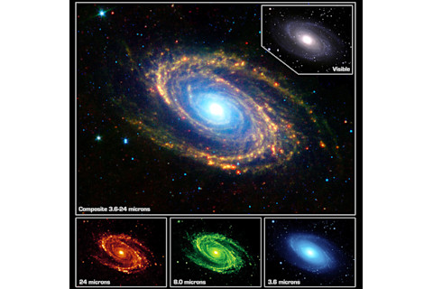 M81
