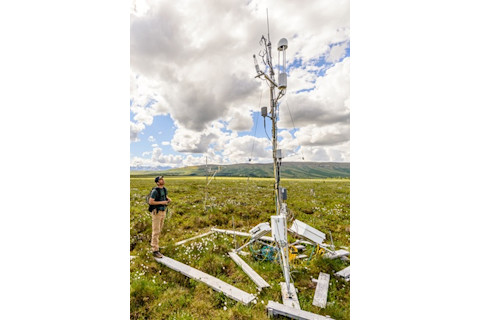 Ted Schuur in the Field - Thomas Nash