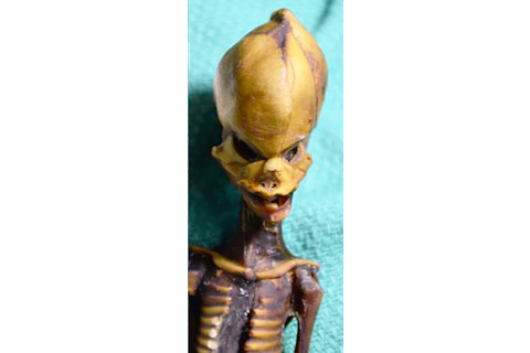 Atacama Alien - Emery Smith