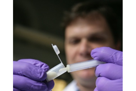 biodegradable-scaffold