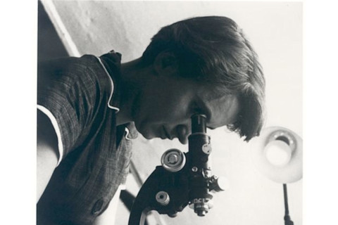Chemist Rosalind Franklin, discovered double helix DNA structure