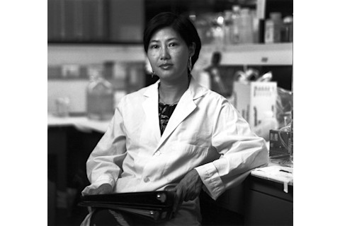 Virologist and Molecular Biologist Flossie Wong-Staal, cloned HIV for testing