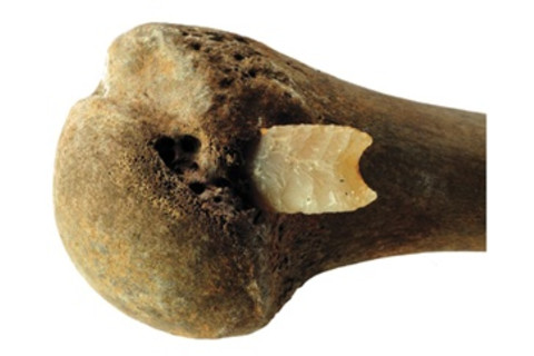 bone with flint