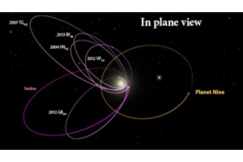 clustered orbits in purple, with planet nine's suspected orbit in orange