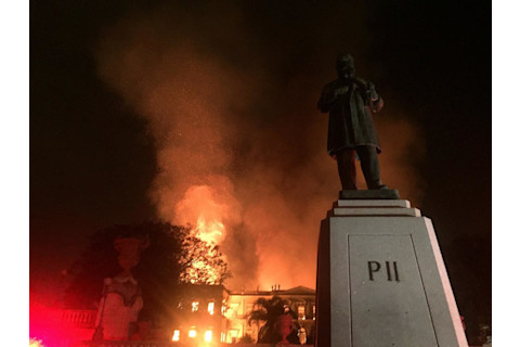 (Credit: Wikimedia Commons/Felipe Milanez)