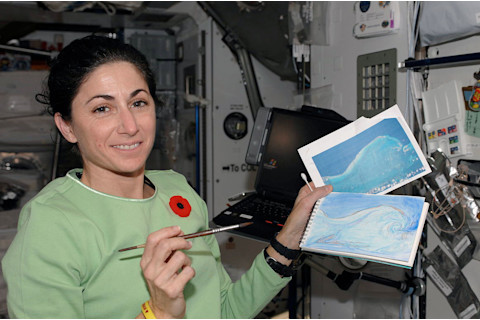 Nicole Stott's artist side, as a watercolor painter aboard the International Space Station. (Credit: NASA)
